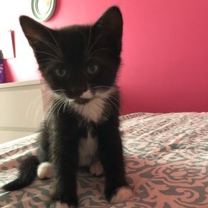 Meet your Posher, Danielle